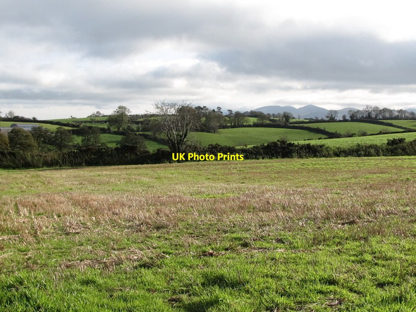 Photo 6"x4" Farmland east of Ardaragh Road Milltown\/J1436 c2011