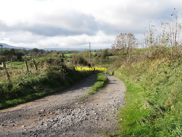 Photo 6"x4" Private farm lane leading west from the Ardaragh Road Milltown\/J1436 c2011