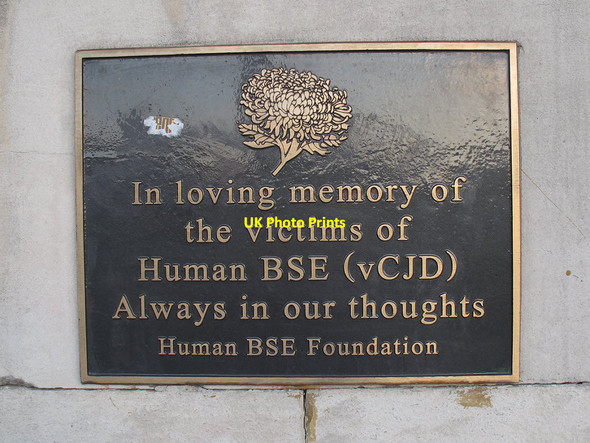 Photo 6"x4" BSE memorial, Albert Embankment Westminster c2011
