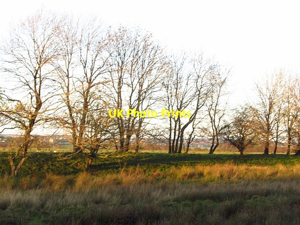 Photo 6"x4" Remains of a mineral railway Addiewell c2011