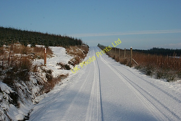 Photo 6"x4" Forest Road Mulben c2007