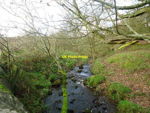 Photo 6"x4" The Branziet Burn Blairskaith c2011