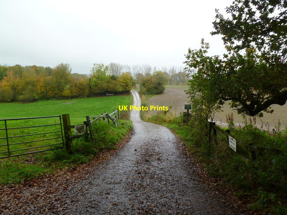 Photo 6"x4" Horningsham, farm entrance Gare Hill c2011