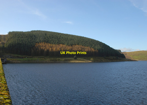 Photo 6"x4" Forestry near Nant-y-moch dam Nant-y-moch Reservoir c2011