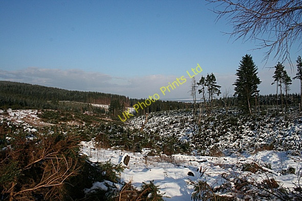 Photo 6"x4" Burn of Oldtown Maggieknockater c2007