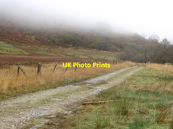 Photo 6"x4" Road, Glen Fyne River Fyne c2011