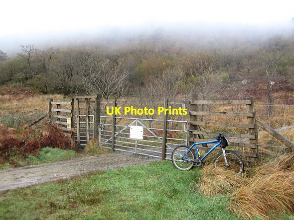 Photo 6"x4" Gate, Glen Fyne River Fyne c2011