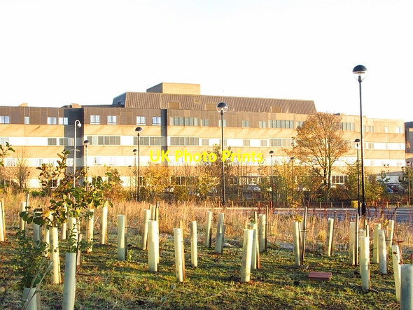 Photo 6"x4" St John's Hospital Livingston c2011