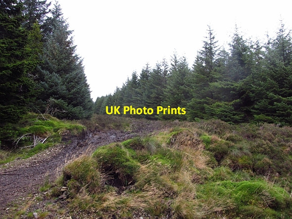 Photo 6"x4" Middle Rig Williamslee c2011