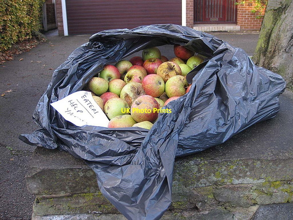 Photo 6"x4" Eaters, help yourself Overtown\/SE3516 c2011