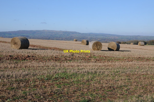 Photo 6"x4" Straw bales near Hillwood Farm Highwood\/SO6566 c2011
