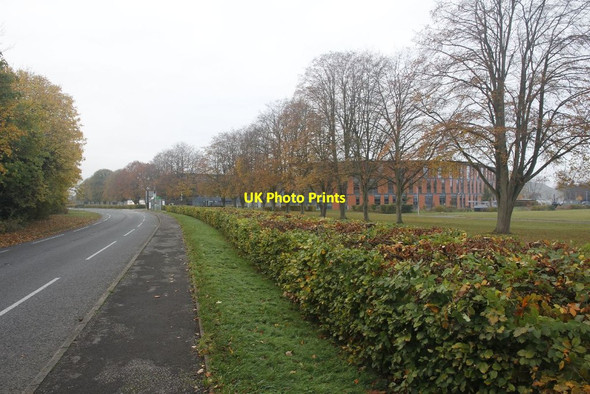 Photo 6"x4" Along the lane to Red Kite Wallingford c2011