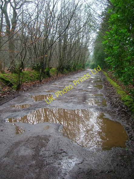 Photo 6"x4" Bixley Lane Beckley\/TQ8523 c2007