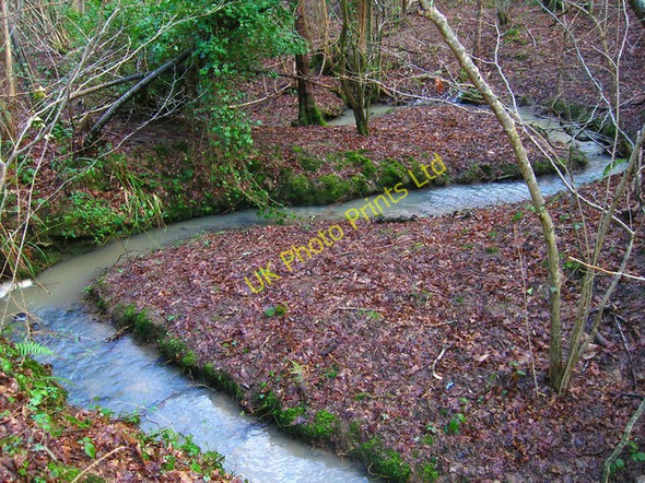 Photo 6"x4" Eggshole Brook, Timber Wood Beckley\/TQ8523 c2007