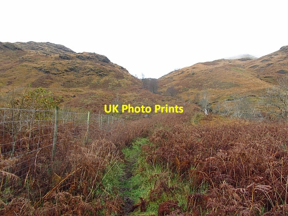 Photo 6"x4" Path up Beinn Bhuidhe Allt a Mhuilinn c2011