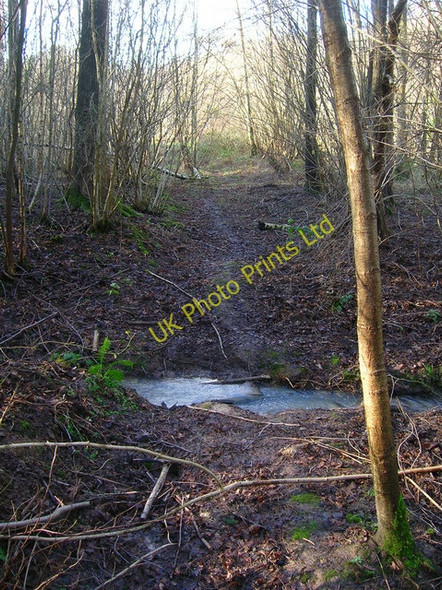 Photo 6"x4" Unnamed Stream, Gate Shaw Beckley\/TQ8523 c2007