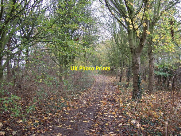 Photo 6"x4" Green Mile Lane Ranby\/SK6580 c2011