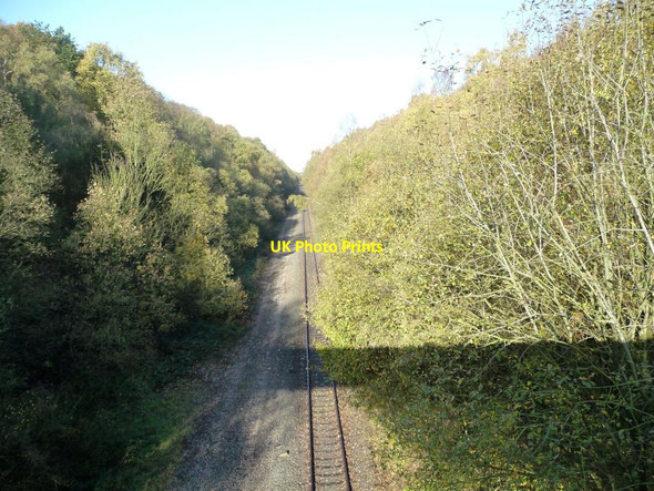 Photo 6"x4" Railway in a cutting, heading to Walton Overtown\/SE3516 c2011