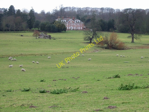 Photo 6"x4" Bourne Park House and sheep fields Bishopsbourne c2007