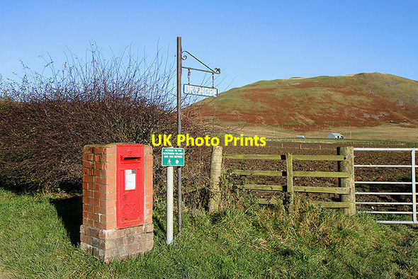 Photo 6"x4" A postbox at Dryhope Dryhope c2011