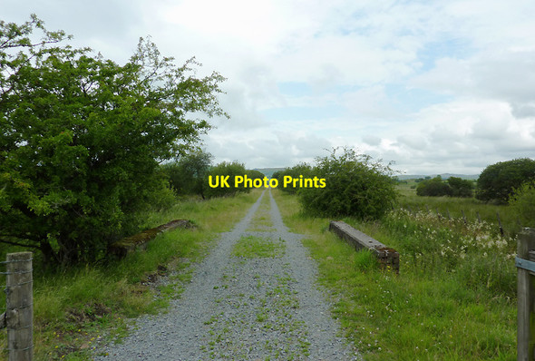 Photo 6"x4" Dismantled railway course near Tregaron, Ceredigion Swyddffynnon c2011