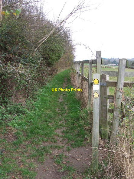 Photo 6"x4" Footpath Sign Stanstead c2011
