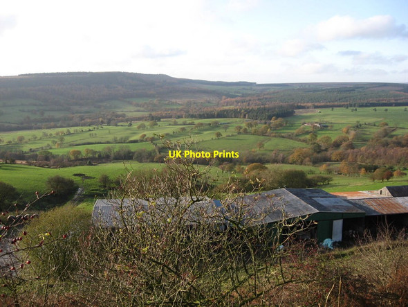 Photo 6"x4" Newgate Foot Birk Nab Fm c2011
