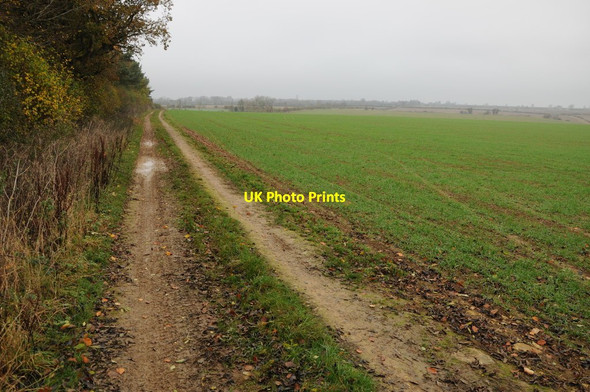 Photo 6"x4" Track beside Down's Copse Fairford c2011