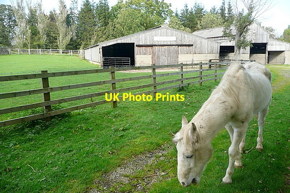Photo 6"x4" Parsonage Farm Ainthorpe c2011