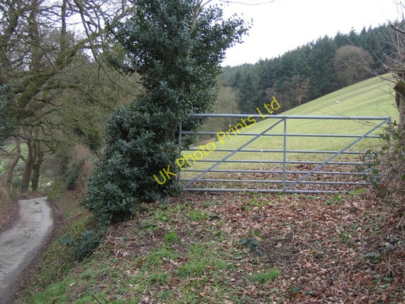 Photo 6"x4" Field Gate and Forestry Sodom\/SJ0971 c2007