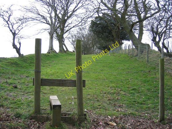 Photo 6"x4" Ancient Trackway below Bryn Golau Pen-y-felin\/SJ1569 c2007