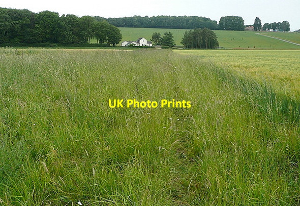 Photo 6"x4" Towards Ewhurst Lodge Ramsdell c2011