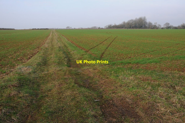 Photo 6"x4" Arable land near Fairland Fairford c2011