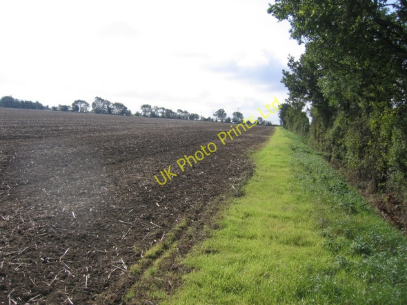 Photo 6"x4" Farmland east of Biggleswade, Beds Millow c2005