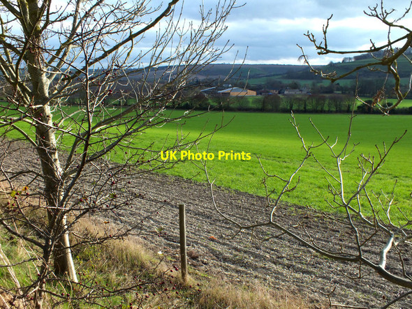 Photo 6"x4" Down the field Broad Chalke c2011