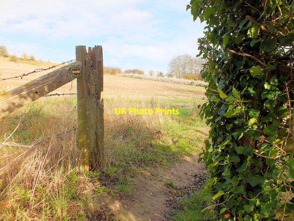 Photo 6"x4" Into the field Broad Chalke c2011