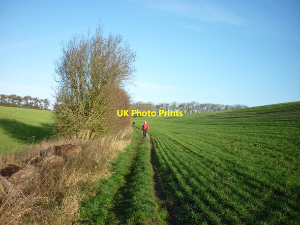 Photo 6"x4" The Wolds Way at Stocking Dale Folkton c2011