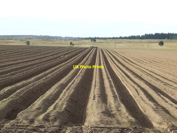 Photo 6"x4" Deep Furrows Icklingham c2011