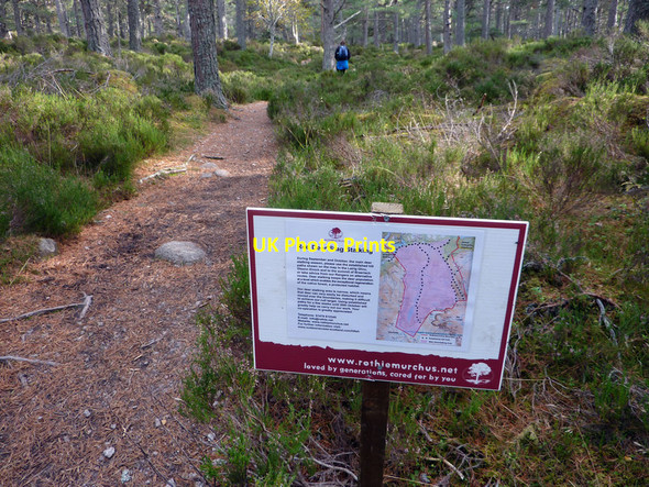 Photo 6"x4" Notice near Piccadilly, Rothiemurchus Coylumbridge c2011