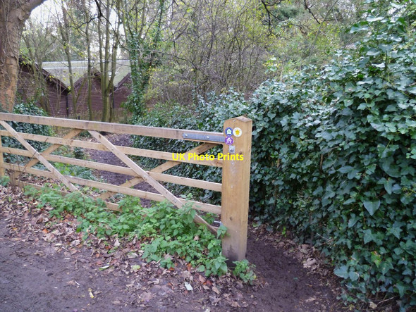 Photo 6"x4" Footpath from Domum Road to the water meadows in Winchester Winchester c2011