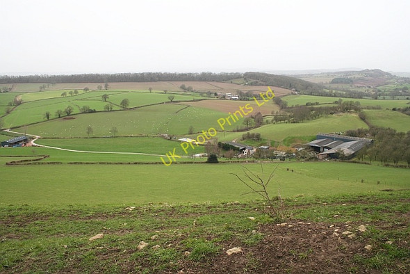 Photo 6"x4" Foxhalls Farm, Sollers Hope Crossway\/SO6131 c2007