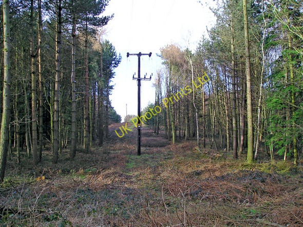 Photo 6"x4" Power Lines through Rowland Plantation Broughton Common c2007