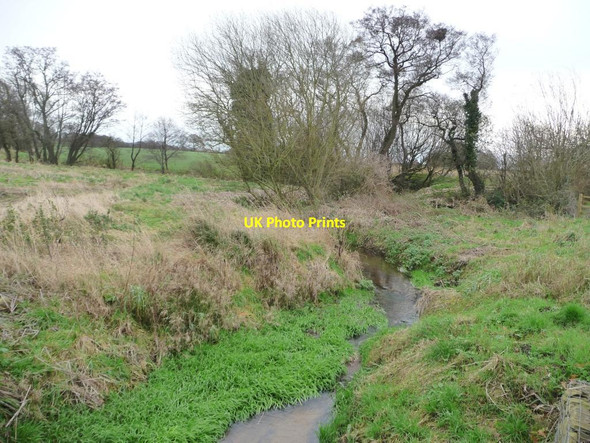 Photo 6"x4" Bradshaw Brook Allostock c2011