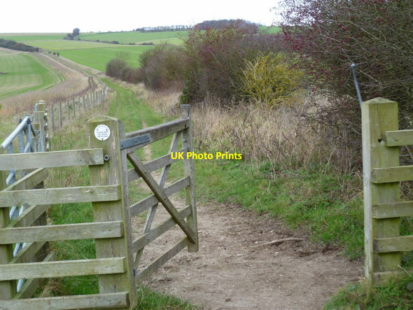 Photo 6"x4" Bridleway going north on Wepham Down Burpham\/TQ0408 c2011
