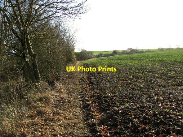 Photo 6"x4" Field boundary east of Aspall Road, Debenham Aspall c2011