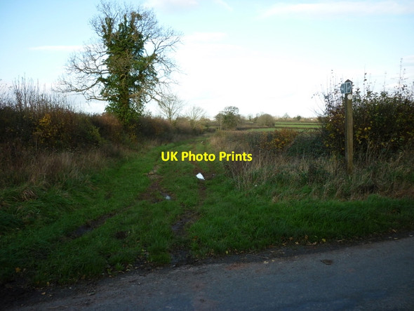 Photo 6"x4" A bridleway heading towards Oldbury on Severn Cowhill\/ST6091 c2011