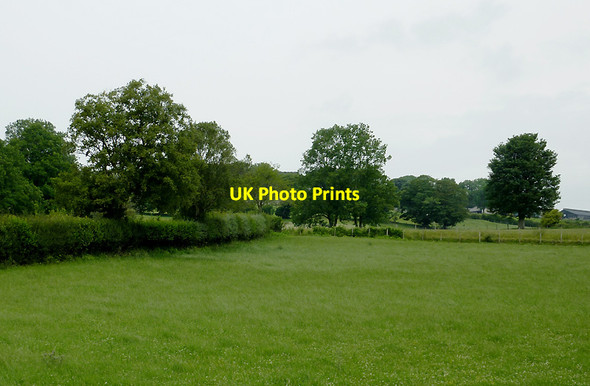 Photo 6"x4" Pasture near Ystradmeurig, Ceredigion Ystradmeurig c2011