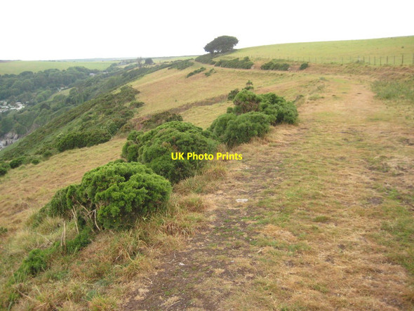 Photo 6"x4" Coast path above East Cliff Membland c2011