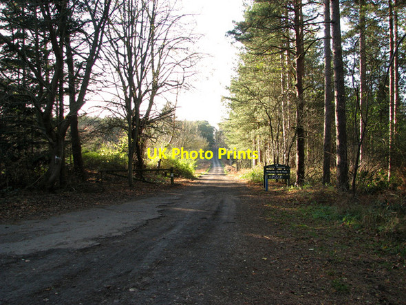 Photo 6"x4" Track to Mayday Farm, Brandon Brandon\/TL7886 c2011