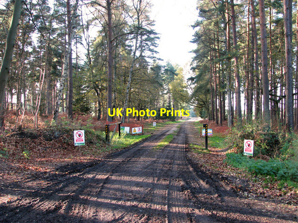 Photo 6"x4" Track into Brandon Park, Brandon Brandon\/TL7886 c2011